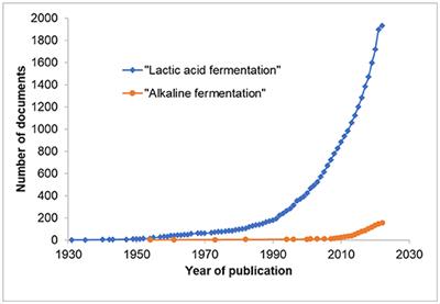 Plant-Based Alkaline Fermented Foods as Sustainable Sources of Nutrients and Health-Promoting Bioactive Compounds